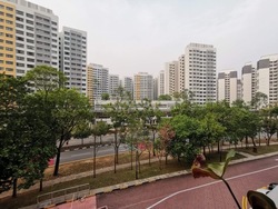 Blk 515 Jelapang Road (Bukit Panjang), HDB 4 Rooms #213057151